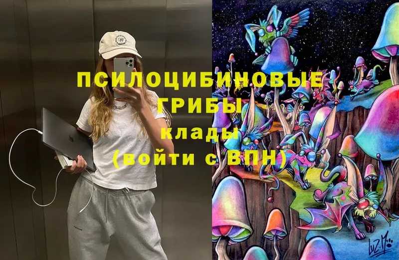 Галлюциногенные грибы Cubensis Сорск